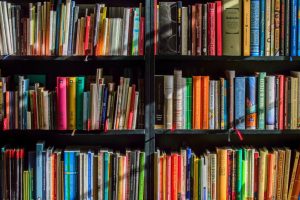 libros curso 19 20 header