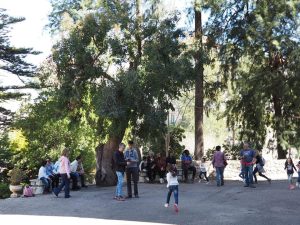 excursion en familia 1 header