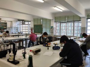 fase comarcal de la olimpiada matematica header