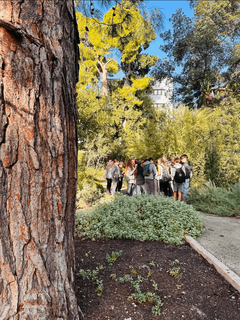 Arranca el proyecto «A través del Botánico»
