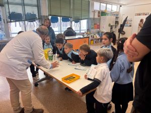 jornada experimentos agua 2