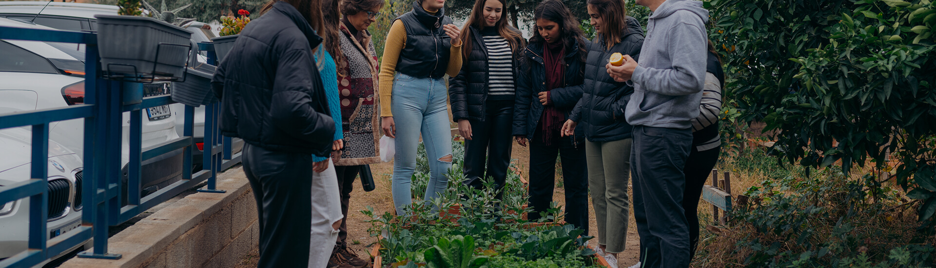 header actividades culturales 5