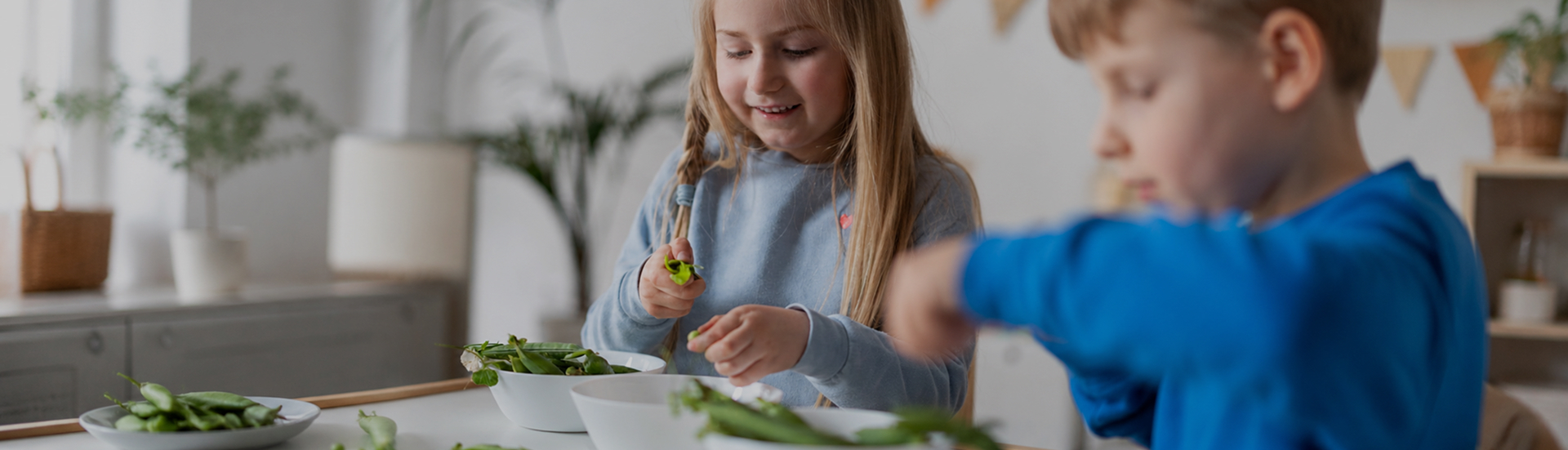 header alimentacion saludable